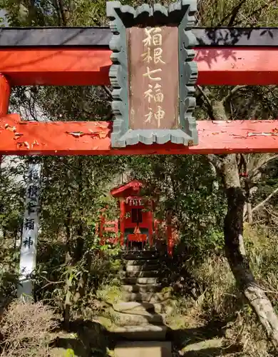 箱根神社の鳥居