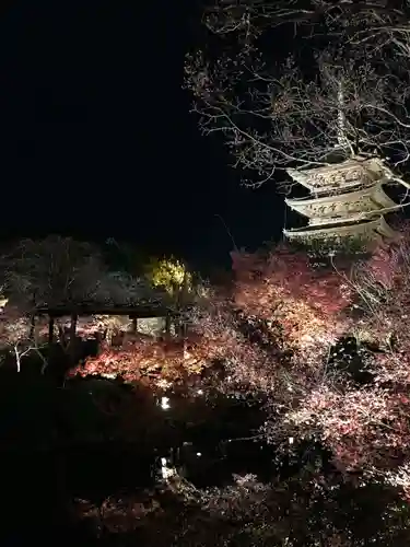 東寺（教王護国寺）(京都府)