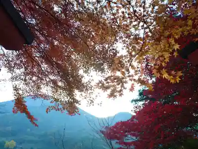 太皷谷稲成神社(島根県)