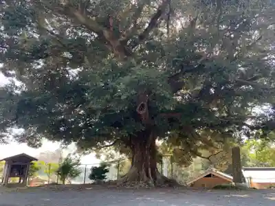 善導大師堂(千葉県)