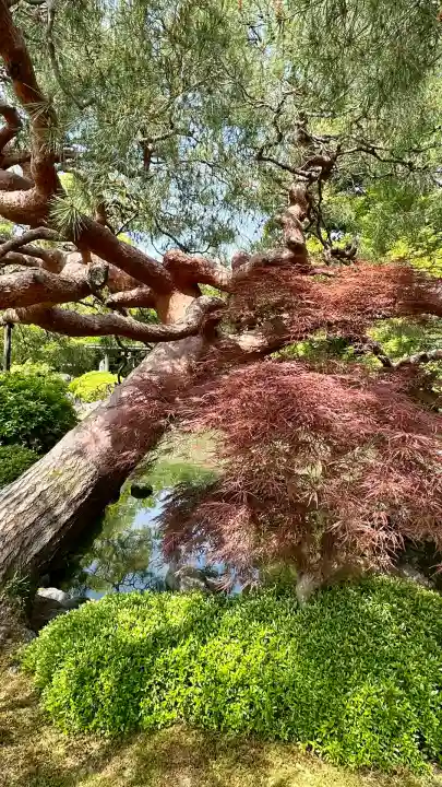 城南宮(京都府)