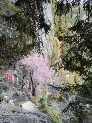 灌頂ヶ滝不動明王(徳島県)