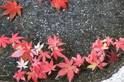 鹿島大神宮の手水舎