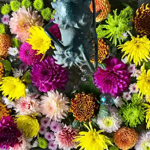 札幌諏訪神社の手水舎