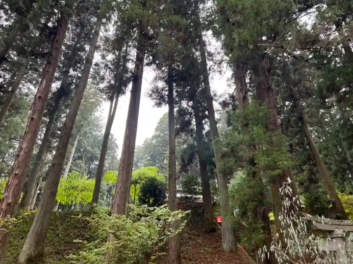 大宮温泉神社(栃木県)