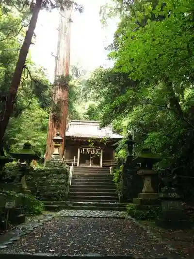 八幡宮來宮神社の本殿