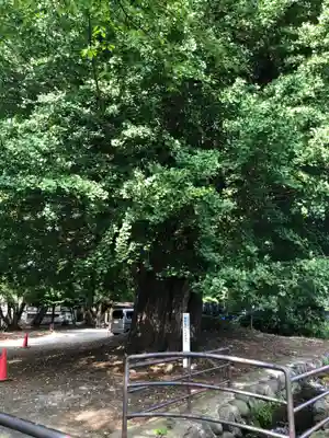 専称寺(山形県)