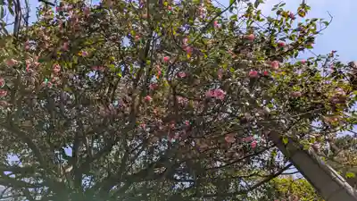 霊源院(京都府)