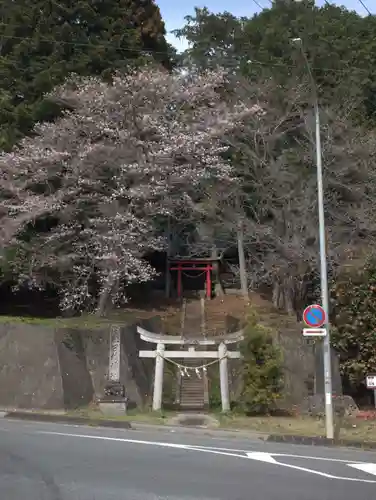 日枝神社の鳥居