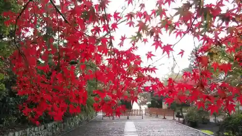 光明寺（粟生光明寺）のその他建物