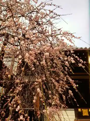 妙法寺(東京都)
