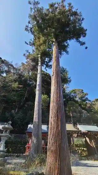 松尾大社の自然