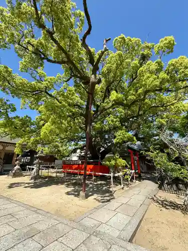 龍田神社(奈良県)