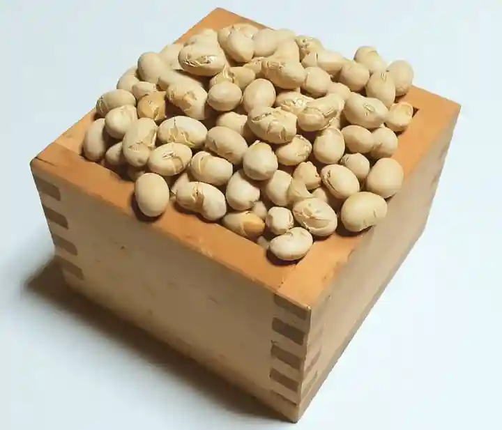 くまくま神社(導きの社 熊野町熊野神社)のお祭り