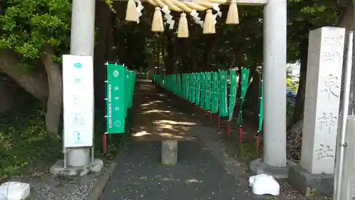 泉神社の鳥居