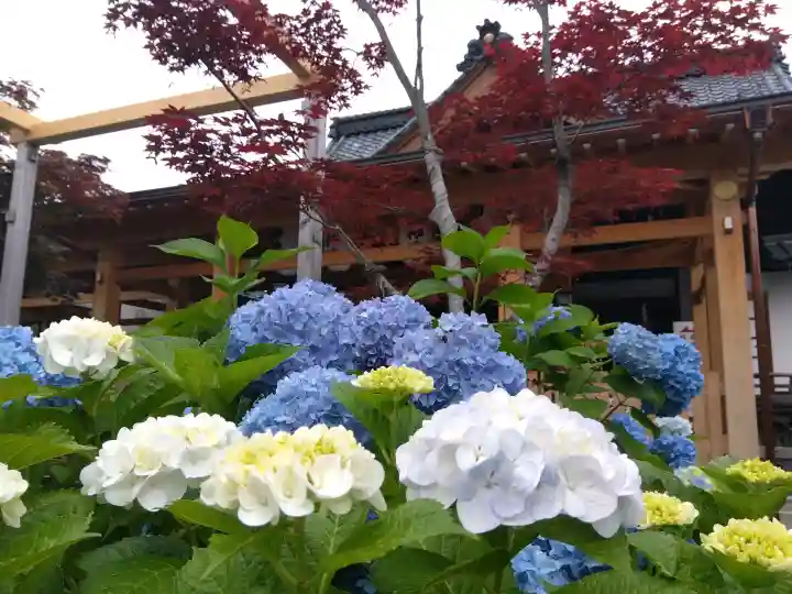 總社 和田八幡宮(福井県)