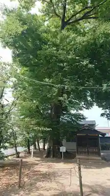 大桑神社(茨城県)