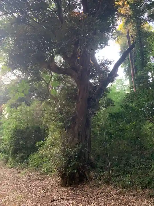 熊野大神(千葉県)