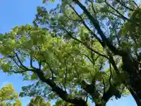 美奈宜神社(福岡県)
