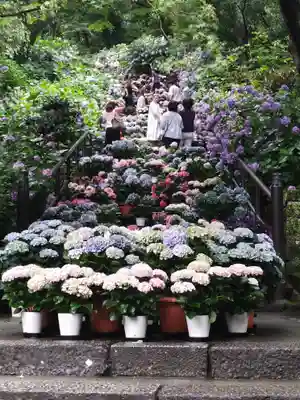 長谷寺(奈良県)