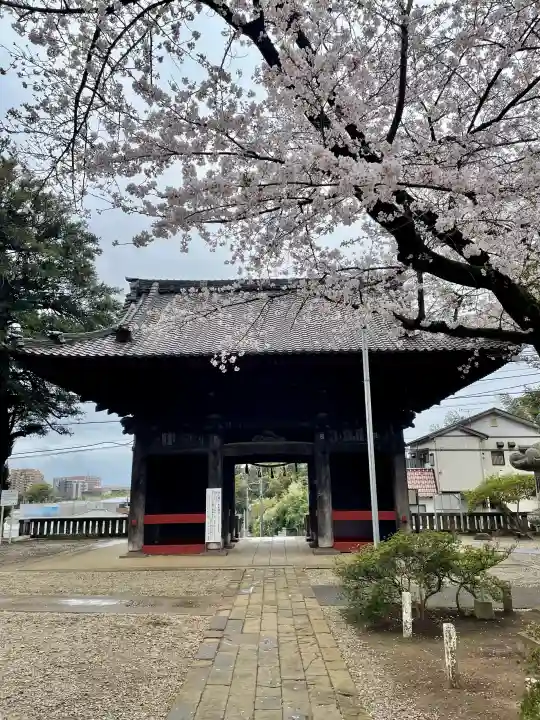 千葉寺の{uncategorized: "未分類", other: "その他", undefined: "問題あり", building: "その他建物", grave: "お墓", sacred_gate: "鳥居", guardian: "狛犬", statue: "像", buddha: "仏像", history: "歴史", nature: "自然", garden: "庭園", animal: "動物", pagoda: "塔", temizu: "手水舎", mountain_gate: "山門・神門", sanctuary: "本殿・本堂", subordinate: "末社・摂社", art: "芸術", scenery: "景色", jizo: "地蔵", ema: "絵馬", goshuin: "御朱印", omikuji: "おみくじ", items: "授与品その他", amulet: "お守り", goshuincho: "御朱印帳", eats: "食事", festival: "お祭り", votive_dance: "神楽", shichigosan: "七五三参", wedding: "結婚式", experience: "体験その他", initially: "初詣", around: "周辺", anti_infection: "感染症対策"}