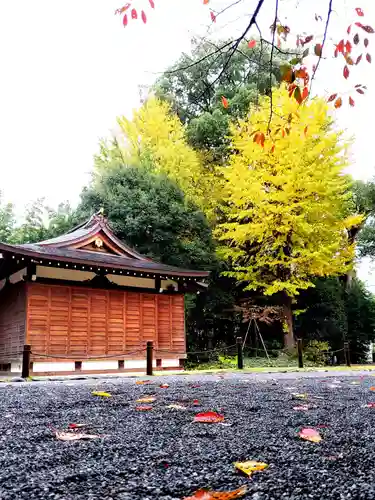 阿佐ヶ谷神明宮(東京都)