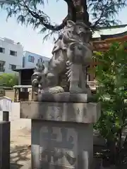 今戸神社の狛犬