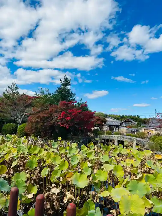 天龍寺(京都府)