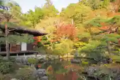 慈照寺（慈照禅寺・銀閣寺）の景色