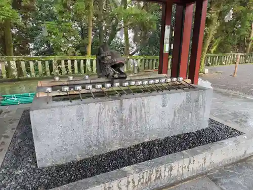 鹿児島神宮(鹿児島県)