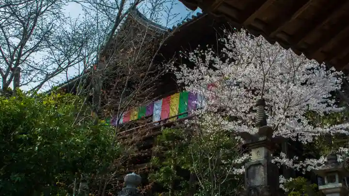 長谷寺の本殿・本堂