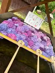 土津神社｜こどもと出世の神さま(福島県)