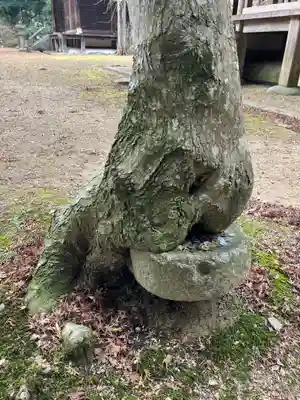 伽耶院(兵庫県)