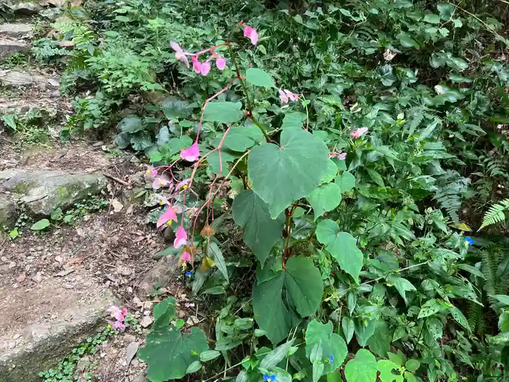 施福寺(大阪府)