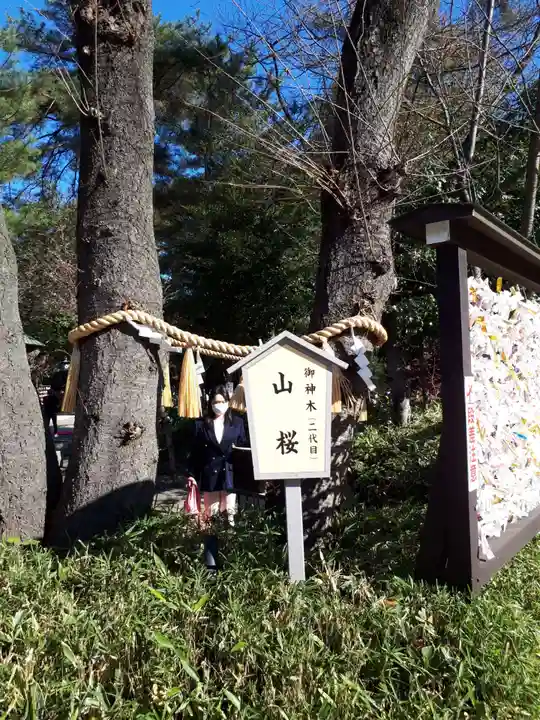 櫻木神社のその他建物