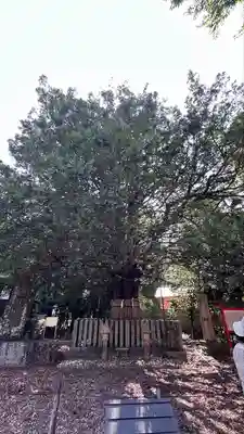 熊野速玉大社(和歌山県)