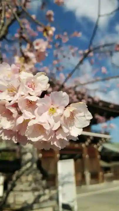 宮地嶽神社の自然