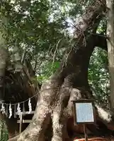 住吉神社(山口県)