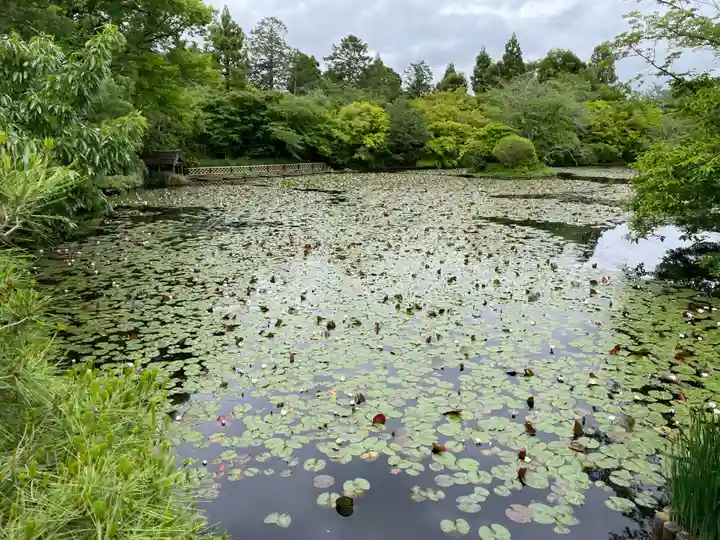龍安寺(京都府)