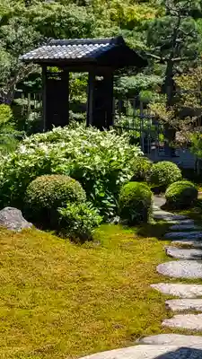 両足院(京都府)