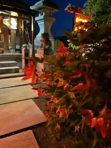 木田神社(福井県)