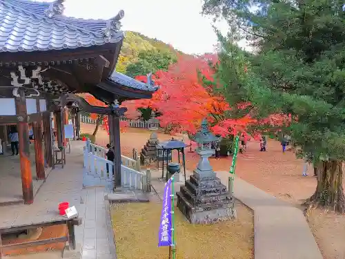 犬山寂光院の自然