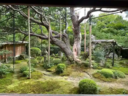 宝泉院の庭園