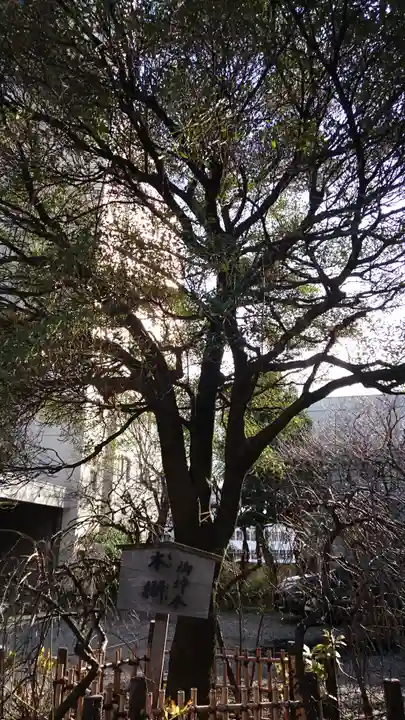 牛天神北野神社の自然