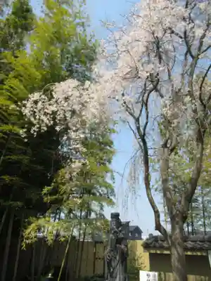 真光寺(千葉県)