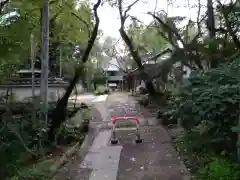 珊瑚寺の建物その他