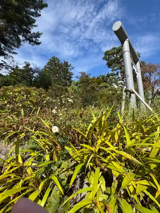 開成山大神宮(福島県)