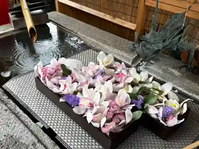 徳島眉山天神社(徳島県)