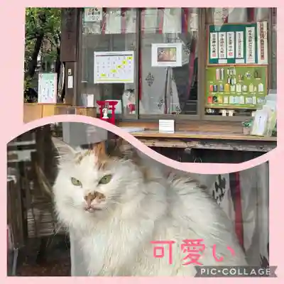 阿邪訶根神社(福島県)