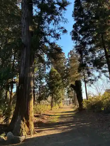 那珂西神社(茨城県)